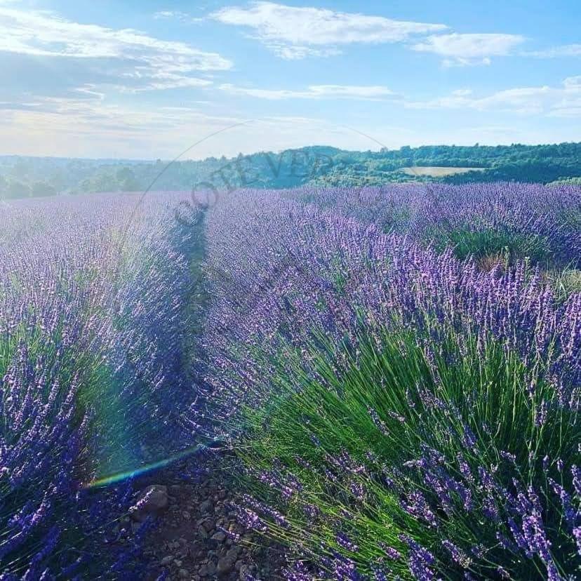 Cote Verdon 2 Кенсон Екстериор снимка